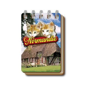 NORMANDIE SOUVENIRS